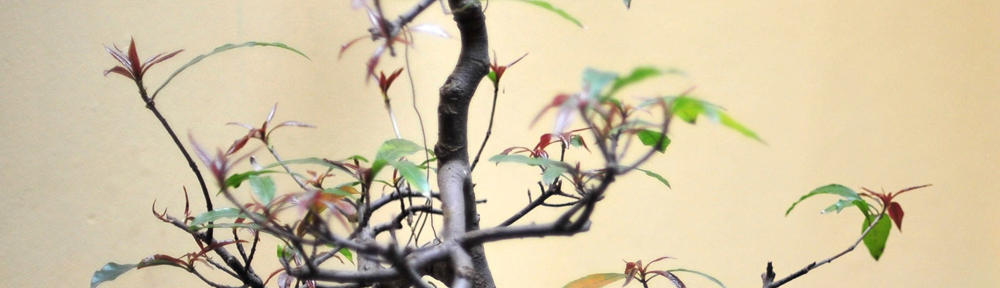 Main Game Online Dapat Cuan Tiap Hari Dengan Tips Menarik Disini